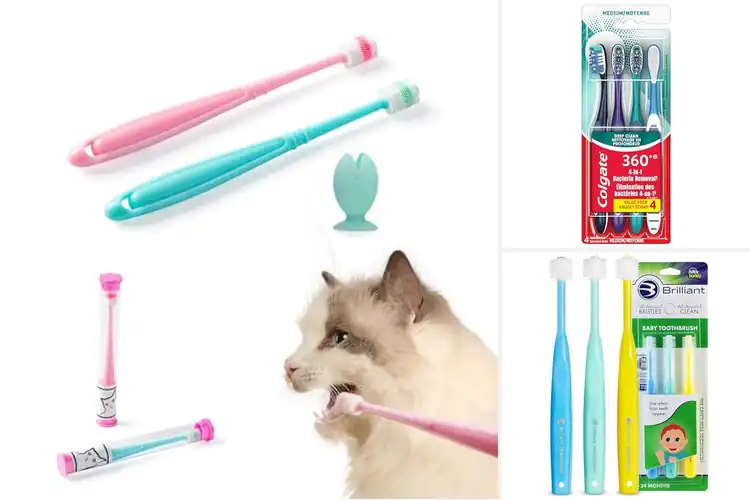 Detailed view of Best 360 Degree Toothbrushes