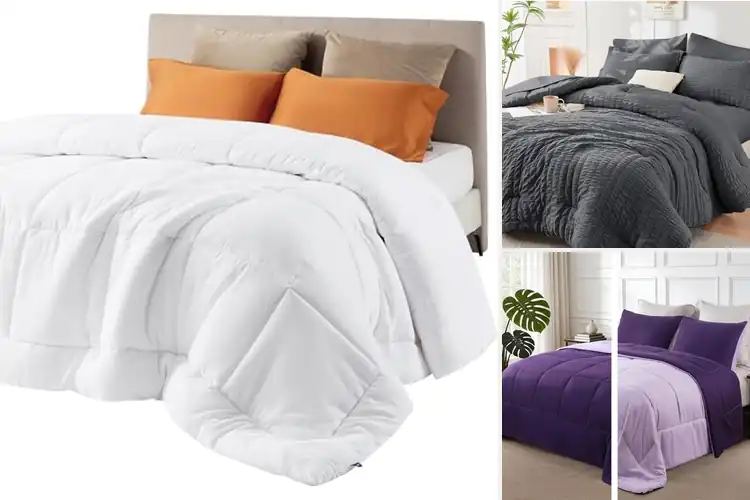 Detailed view of Best All Season Comforters