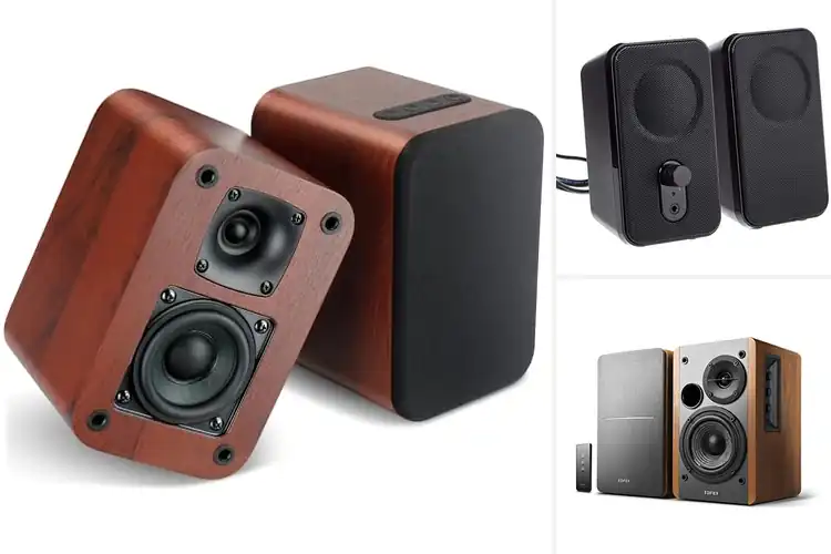 Detailed view of Best Amplified Speakers
