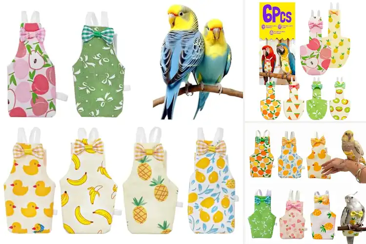 Detailed view of Best Bird Diapers: 10 Comfy, Clean Options