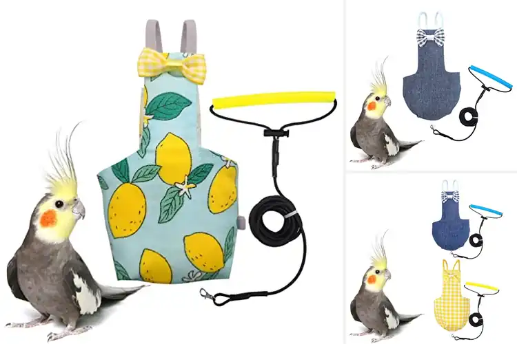Detailed view of Best Bird Training Diapers