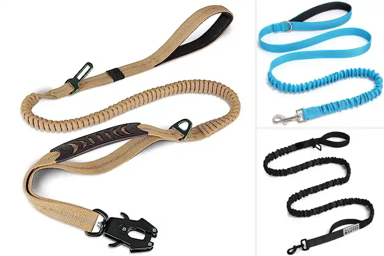 Detailed view of Best Bungee Dog Leashes: Top 10 Picks for Safer Walks