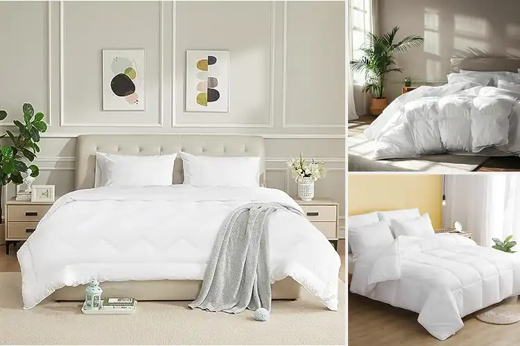 Detailed view of Best Cotton Shell Comforters