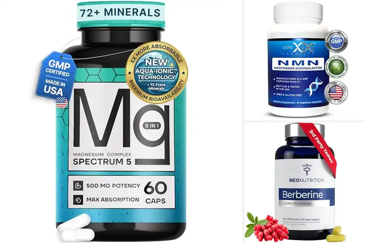 Detailed view of Best GMP-Certified Supplements