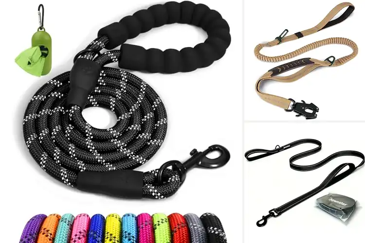 Detailed view of Best Heavy Duty Dog Leashes