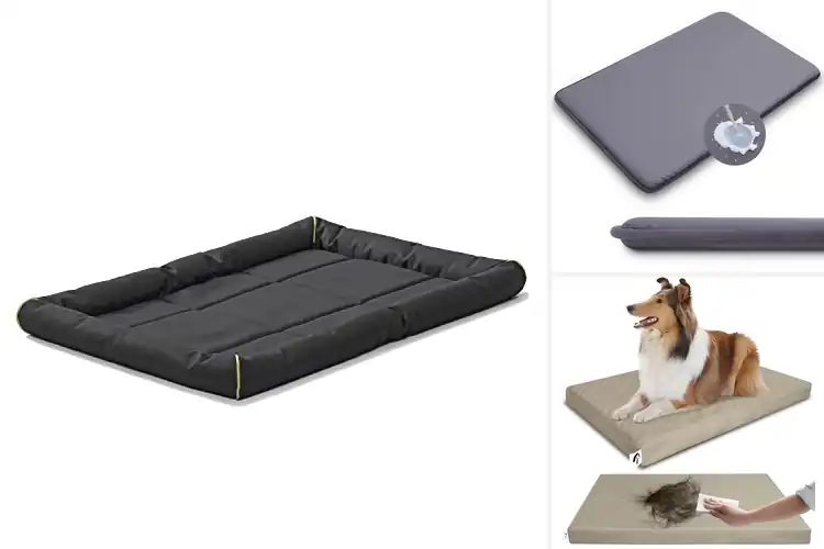 Detailed view of Best Odor-Resistant Pet Beds
