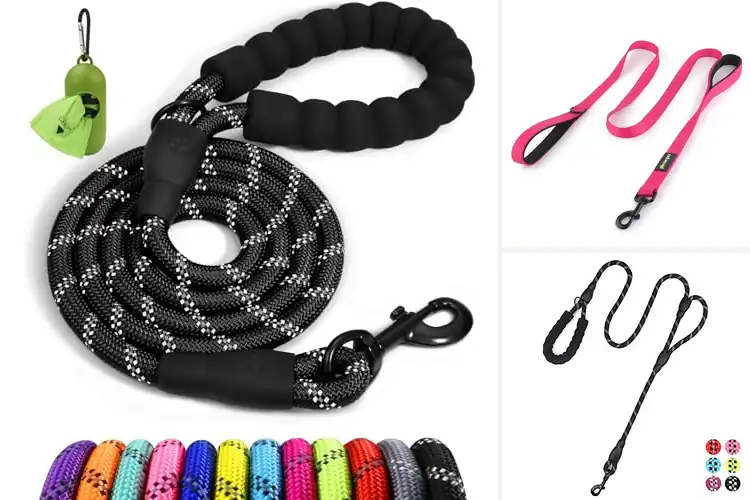 Detailed view of Best Padded Handle Leashes