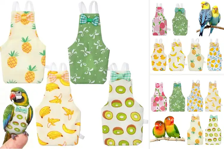 Detailed view of Best Reusable Bird Diapers