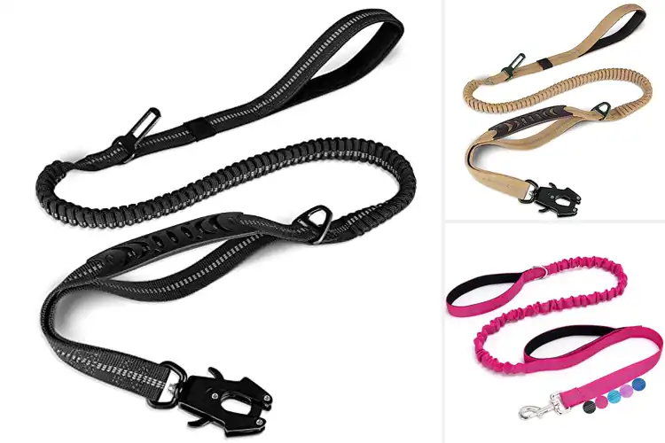 Detailed view of Best Shock Absorbing Leashes