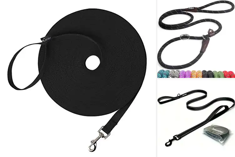 Detailed view of Best Training Dog Leashes