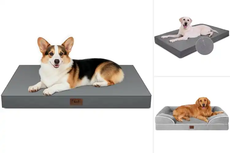 Detailed view of Best Waterproof Dog Beds: Top 10 Comfy Picks